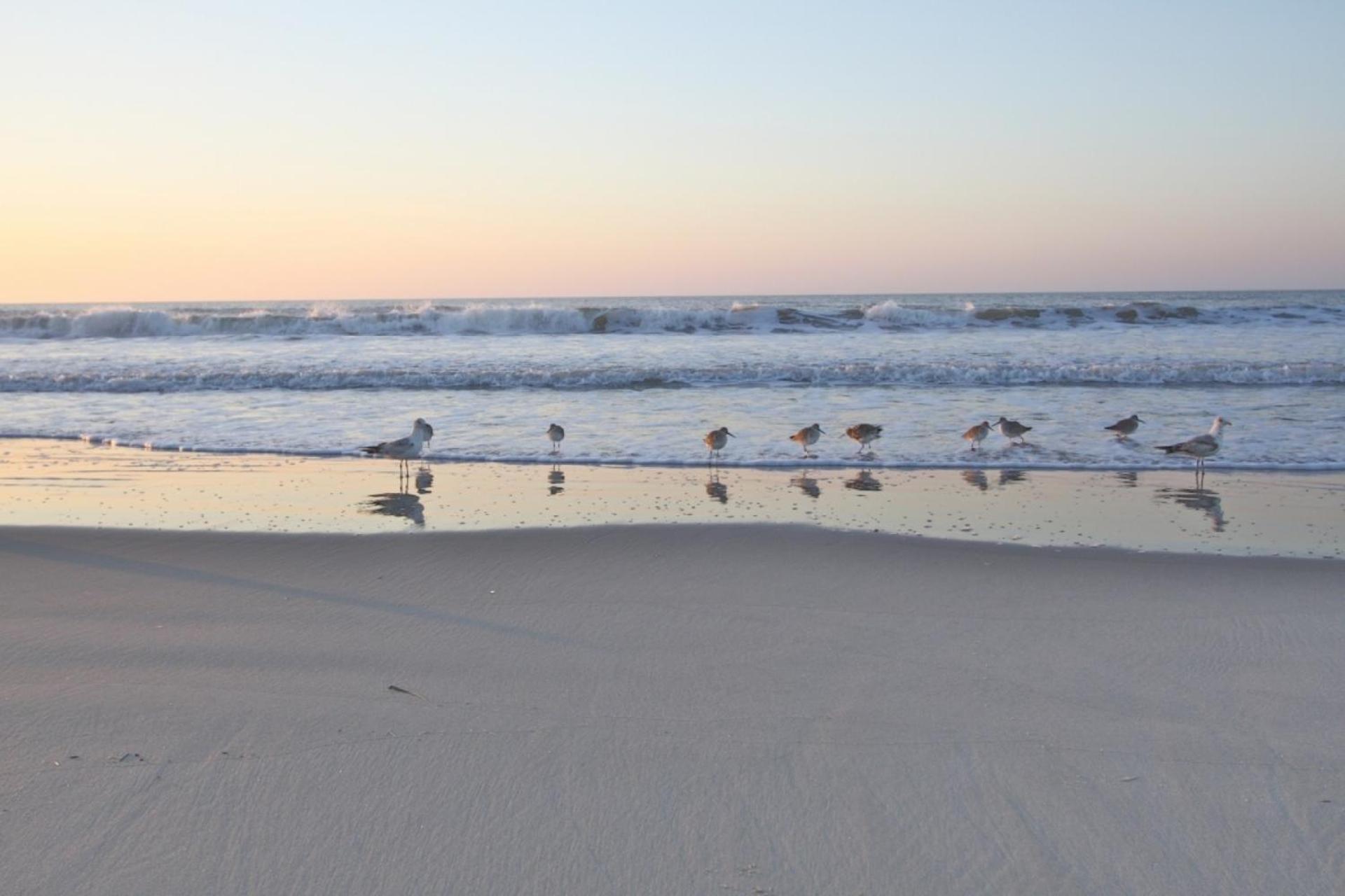 Just Beachy Isle of Palms Exterior foto